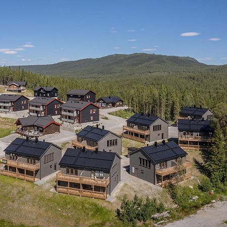 Parkstigens Fjaellby - Kavan Funäsdalen المظهر الخارجي الصورة