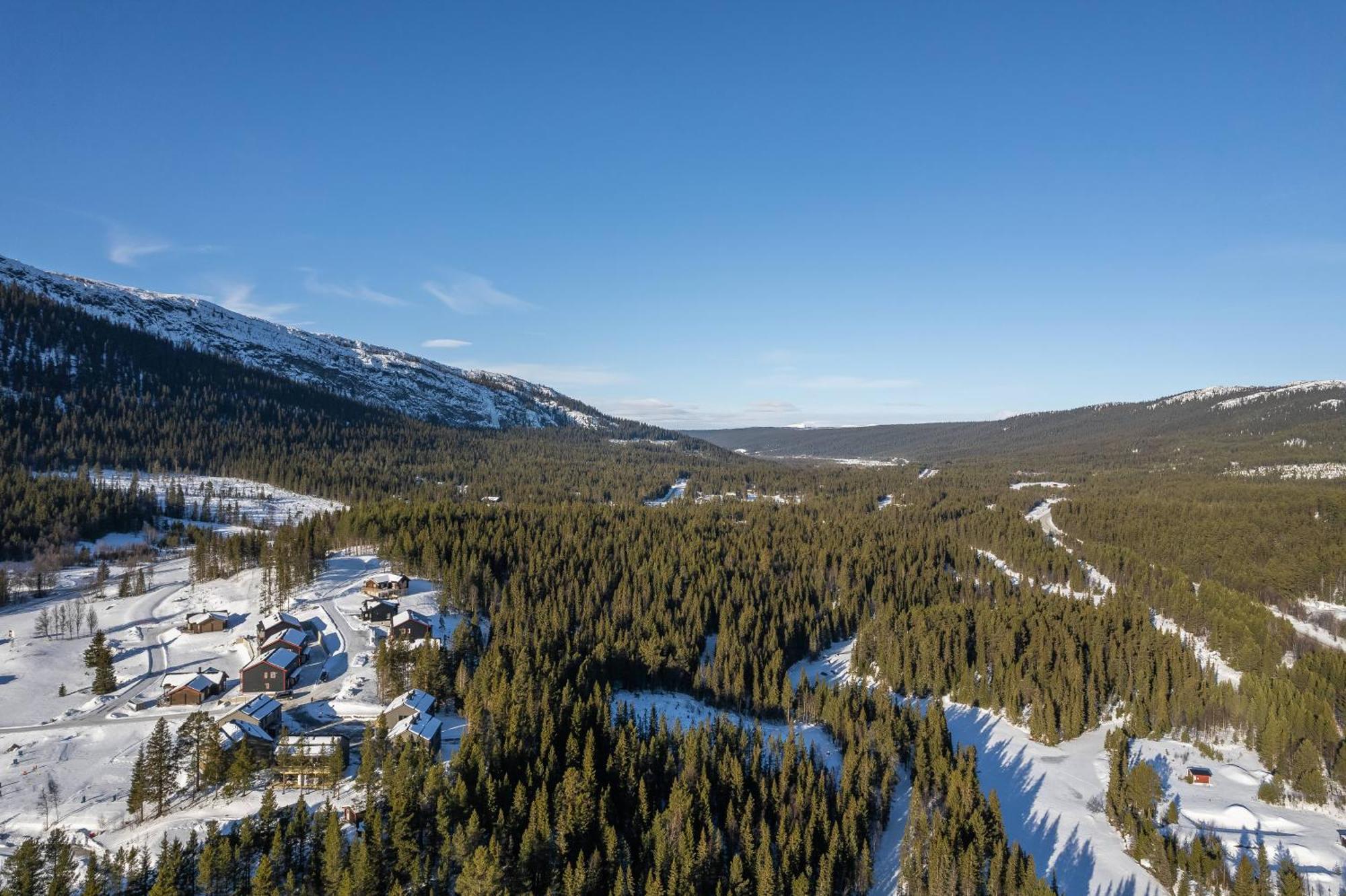 Parkstigens Fjaellby - Kavan Funäsdalen المظهر الخارجي الصورة